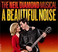 A Beautiful Noise