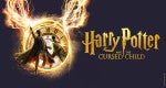 Harry Potter and the Cursed Child